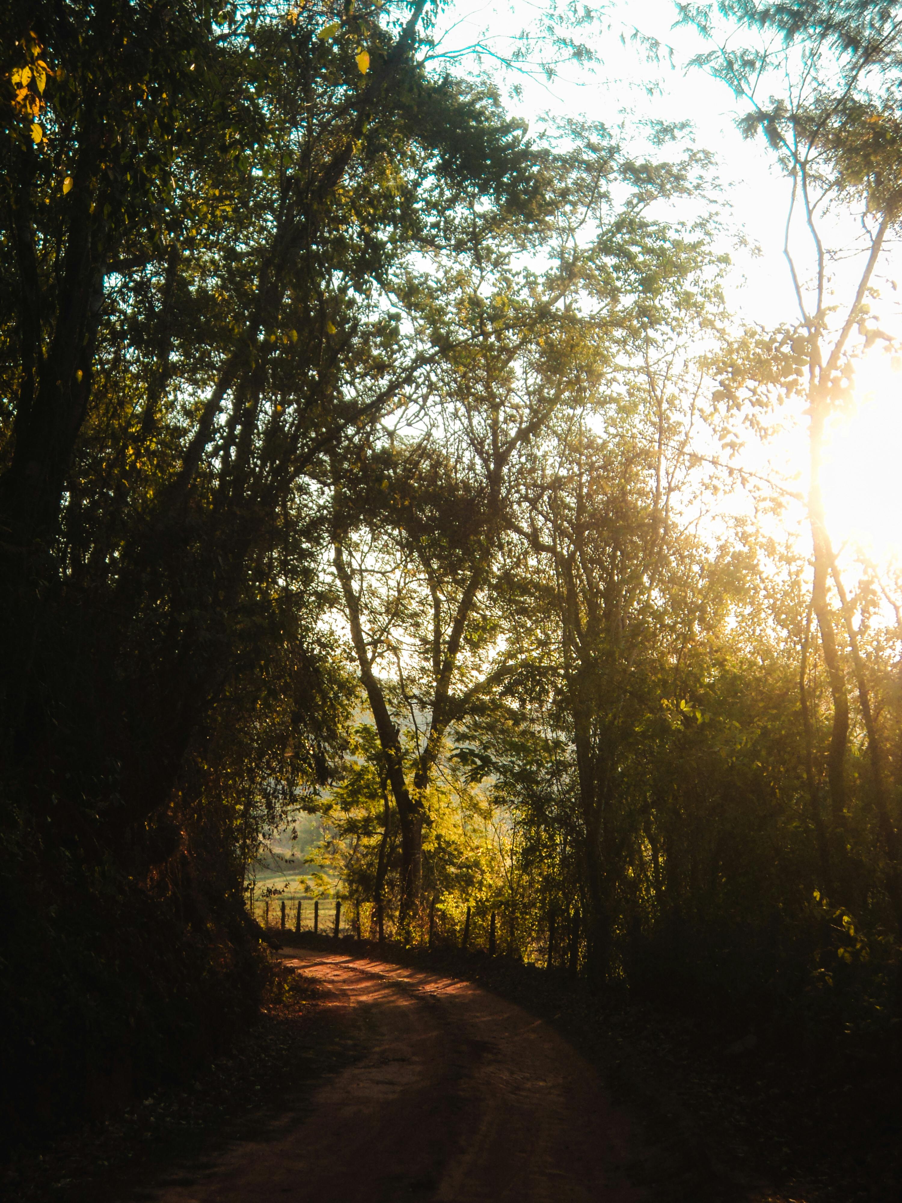 Trung tâm nghiên cứu văn học, phát triển nhà văn Việt Nam