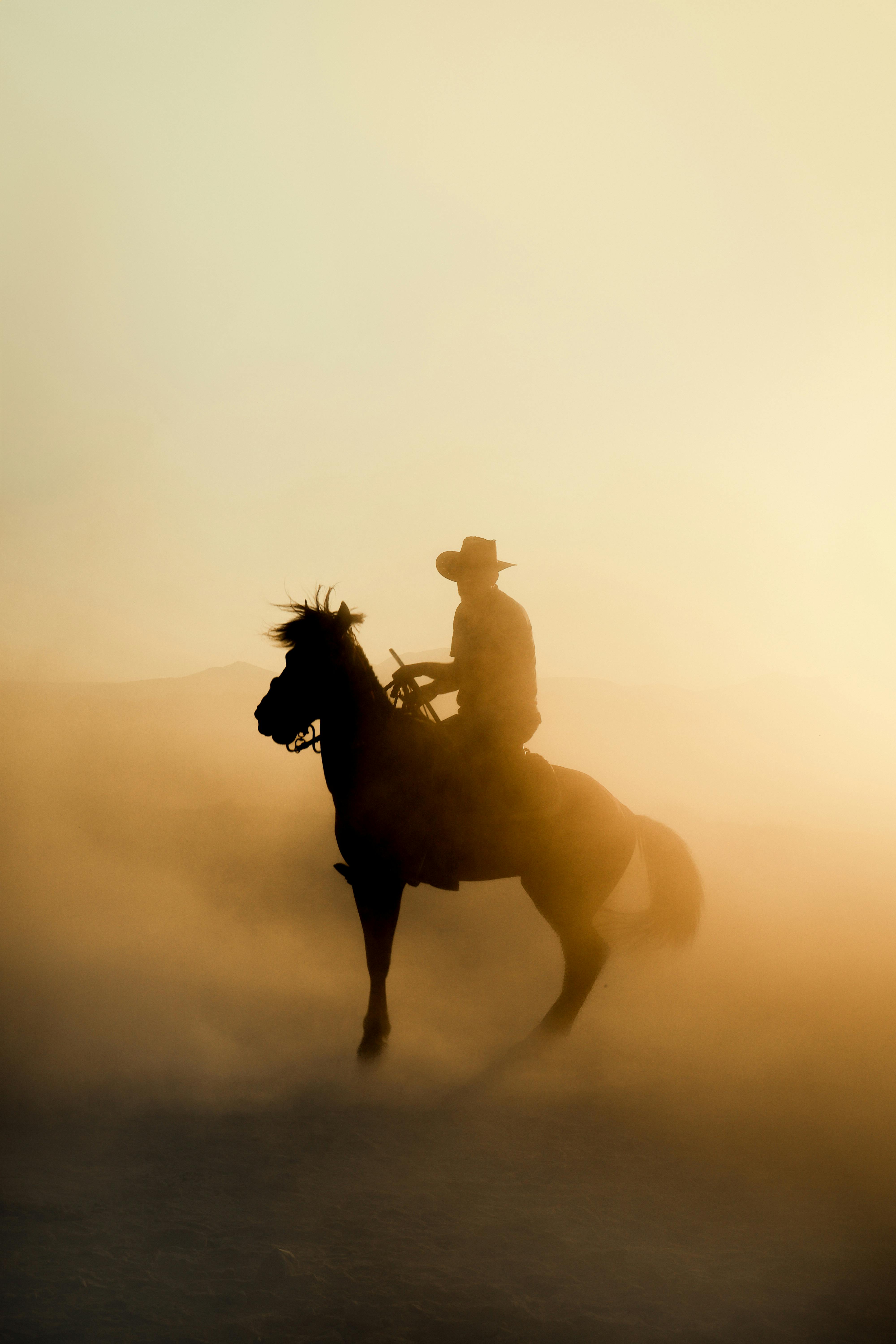 a cowboy riding a horse in the desert at sunset