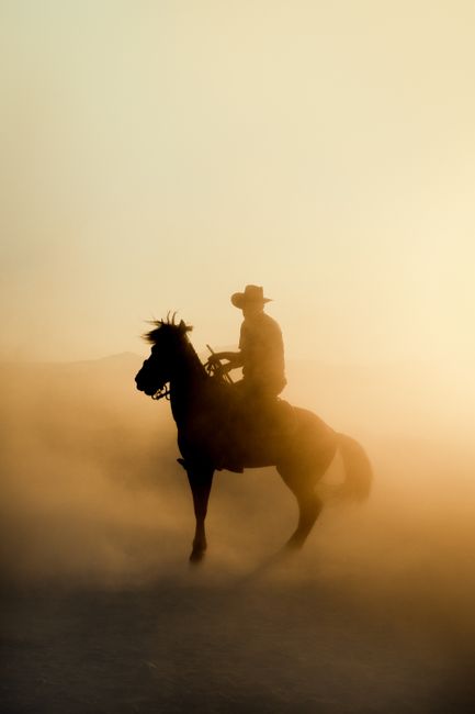 A captivating silhouette of a cowboy on horseback amidst mist and sunset glow, evoking adventure and mystique.