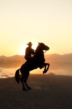 A dramatic silhouette of a cowboy riding a horse at sunset by a desert landscape.