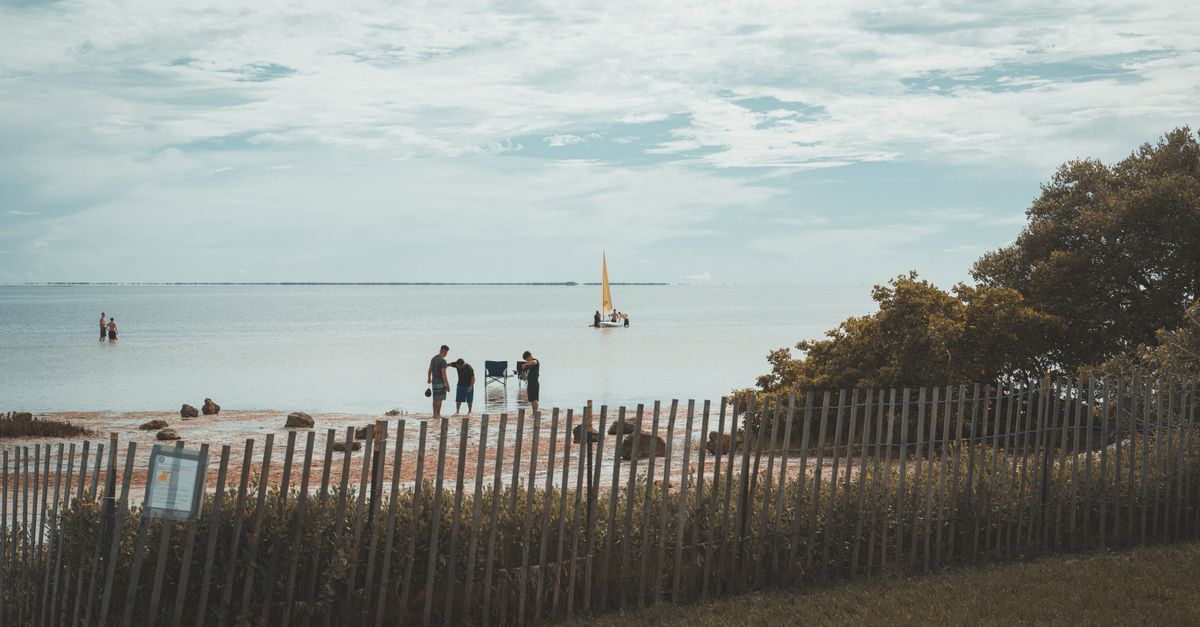 Peaceful beach scene with people and sailboat at New Port Richey.