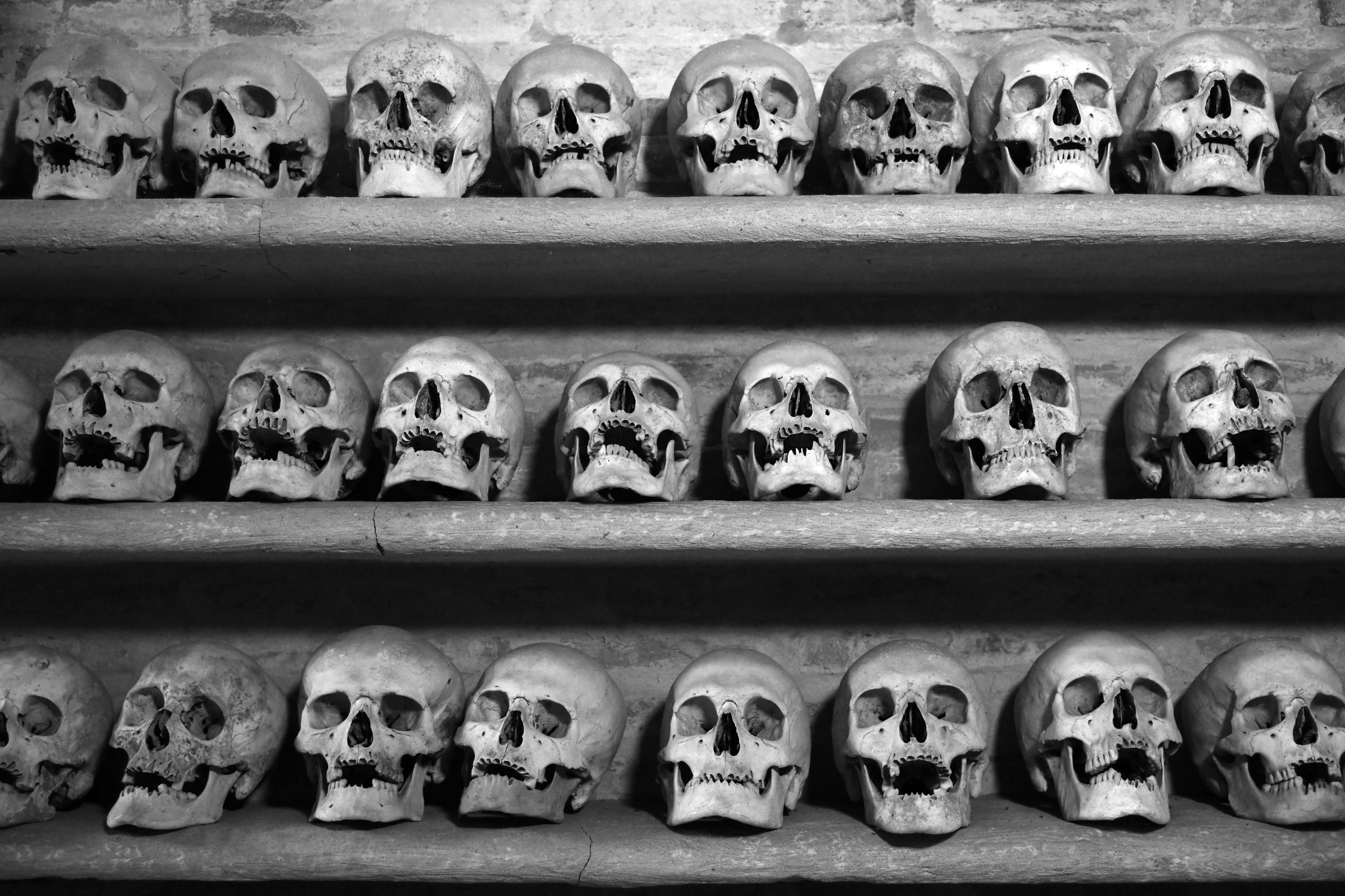 Convenient personalization or death of organic discovery? Streaming algorithms have reshaped how we listen to music — Photo b