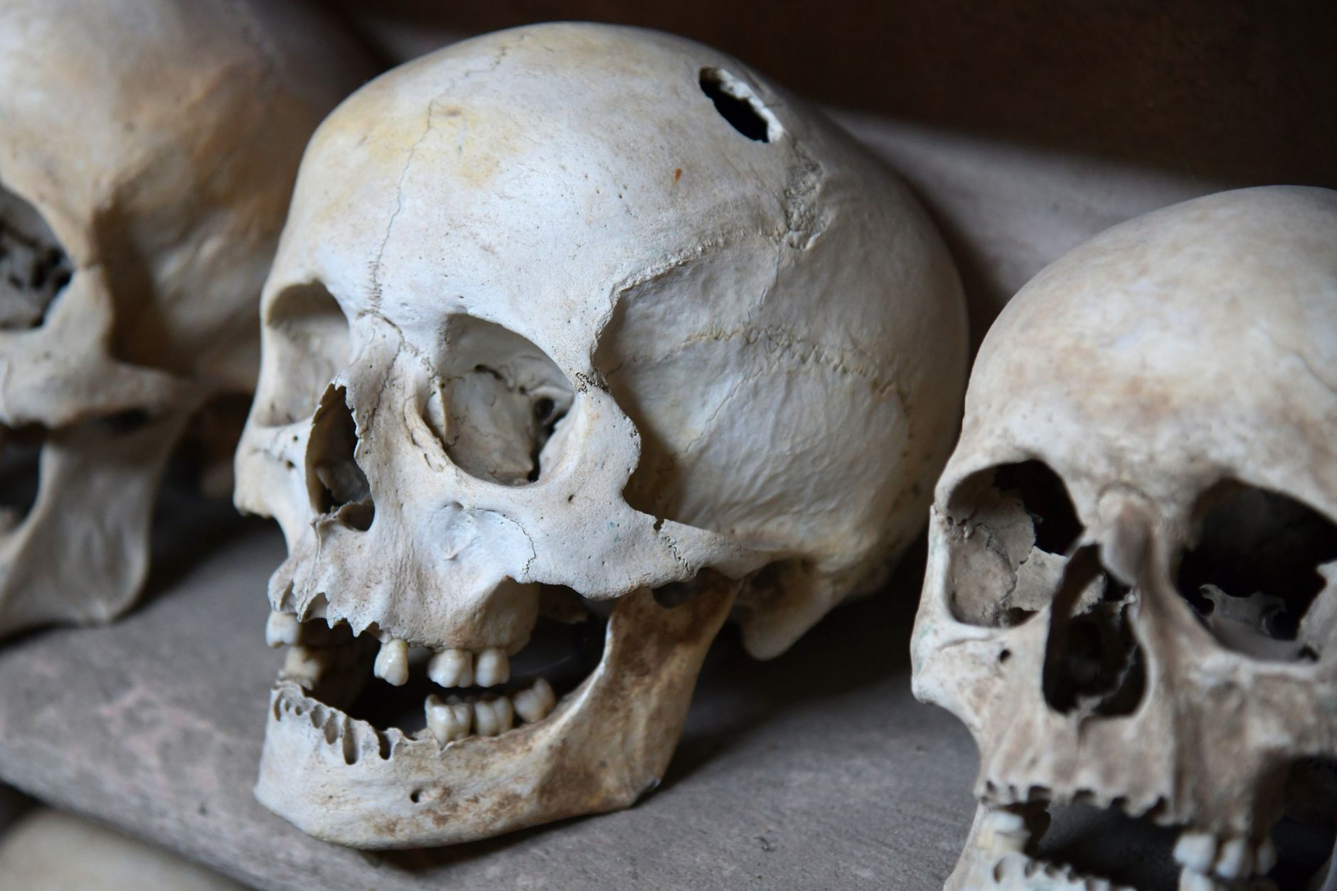 Creepy arrangement of human skulls evokes eerie and ancient atmosphere.