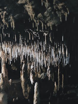 探索洞穴内部，欣赏那怪诞之美，令人惊叹的钟乳石与石笋随处可见