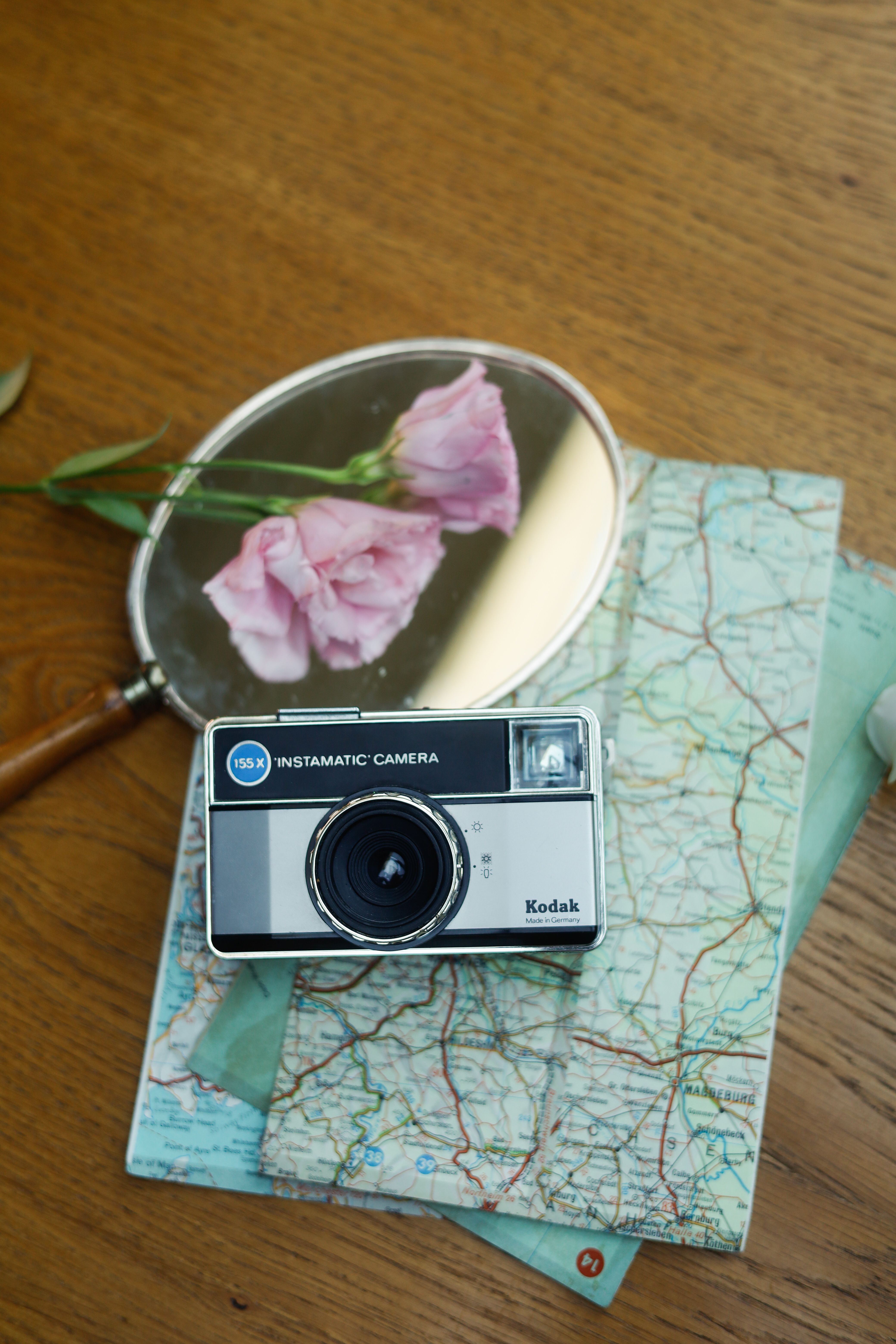 Kostnadsfria Kostnadsfri bild av analog, äventyr, blomma Stock foto