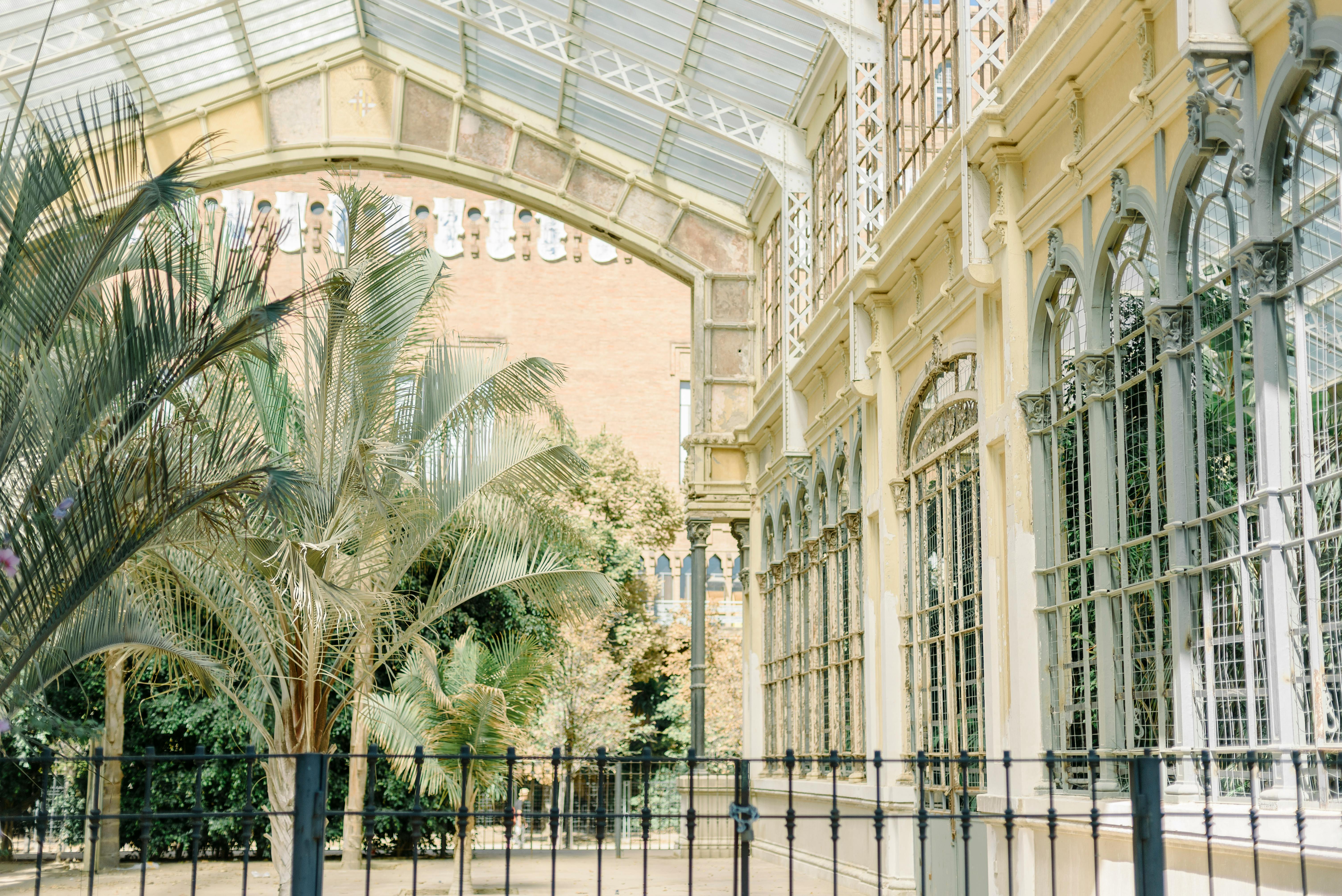 Modern automated hydroponic growing systems in luxury conservatory