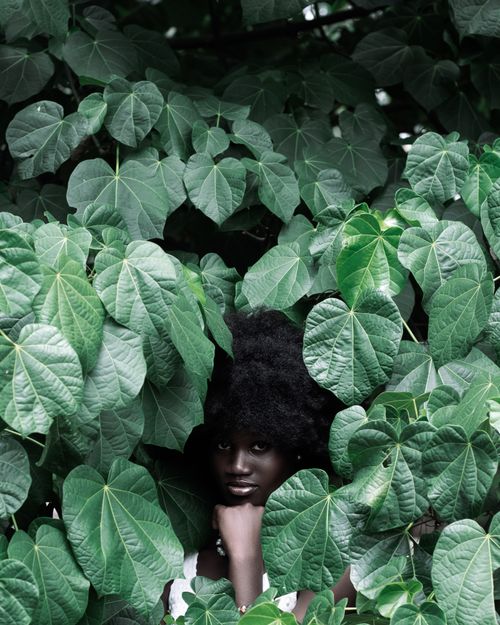 Free Artistic portrait of a woman surrounded by bright green leaves in an outdoor setting. Stock Photo