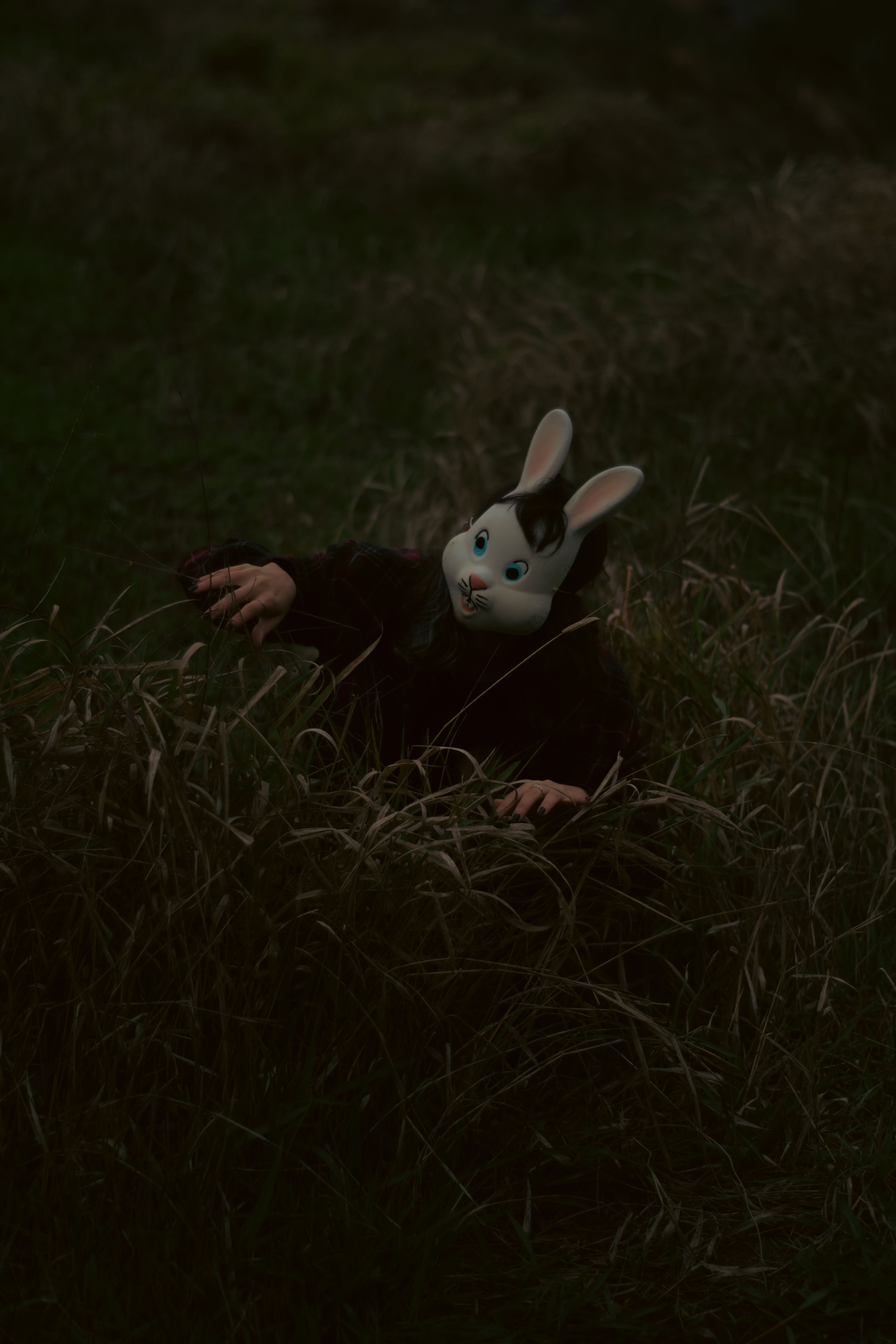 A person in a rabbit mask reaching out in a dark grassy outdoor setting.. person, rabbit, mask