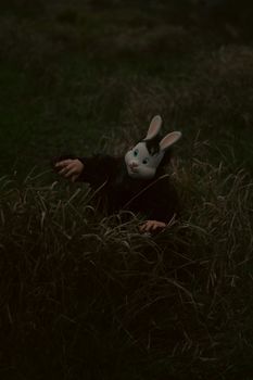 A person in a rabbit mask reaching out in a dark grassy outdoor setting.. person, rabbit, mask