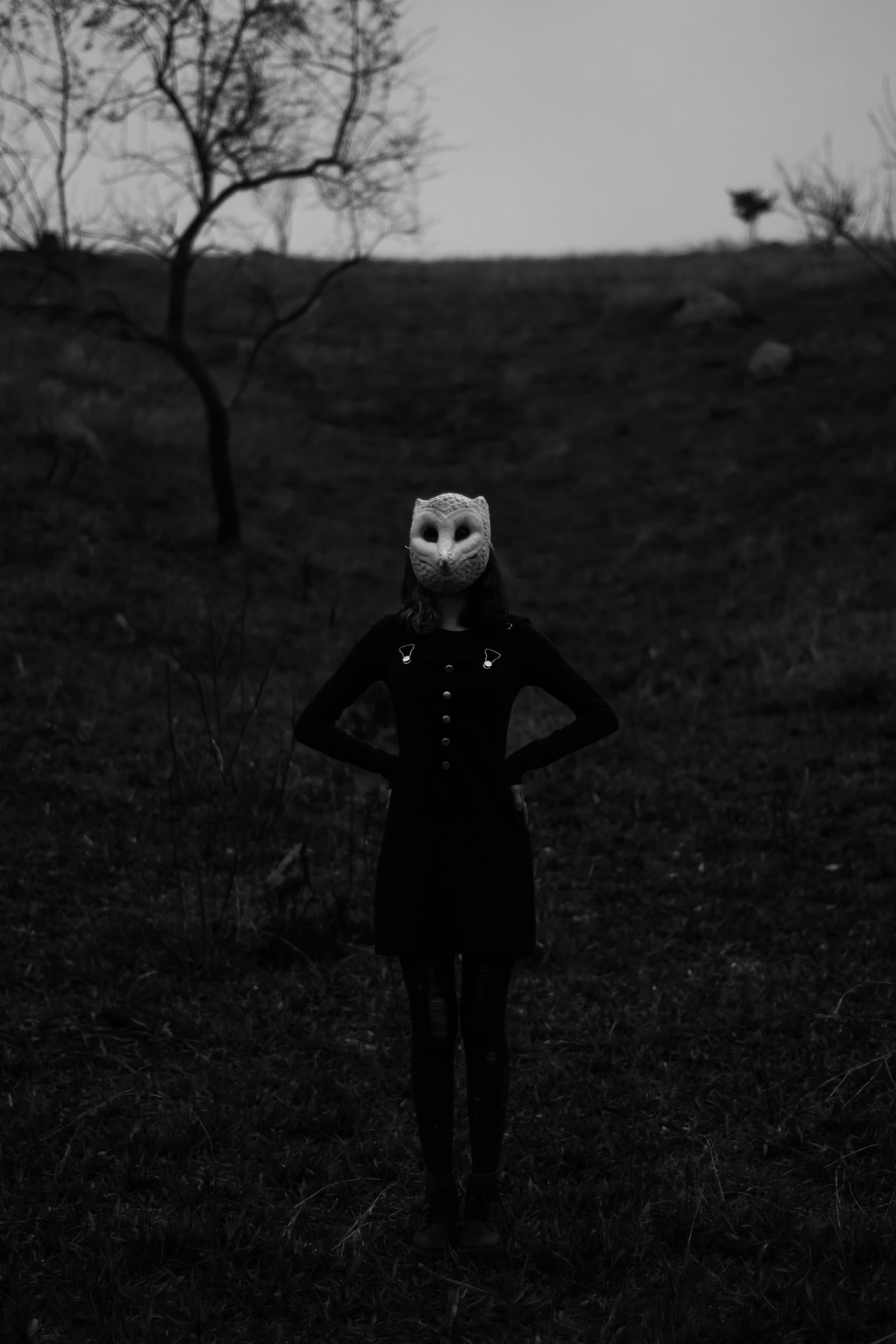 A mysterious figure wearing an owl mask stands eerily in a dark outdoor setting, promoting a sense of intrigue and wonder.