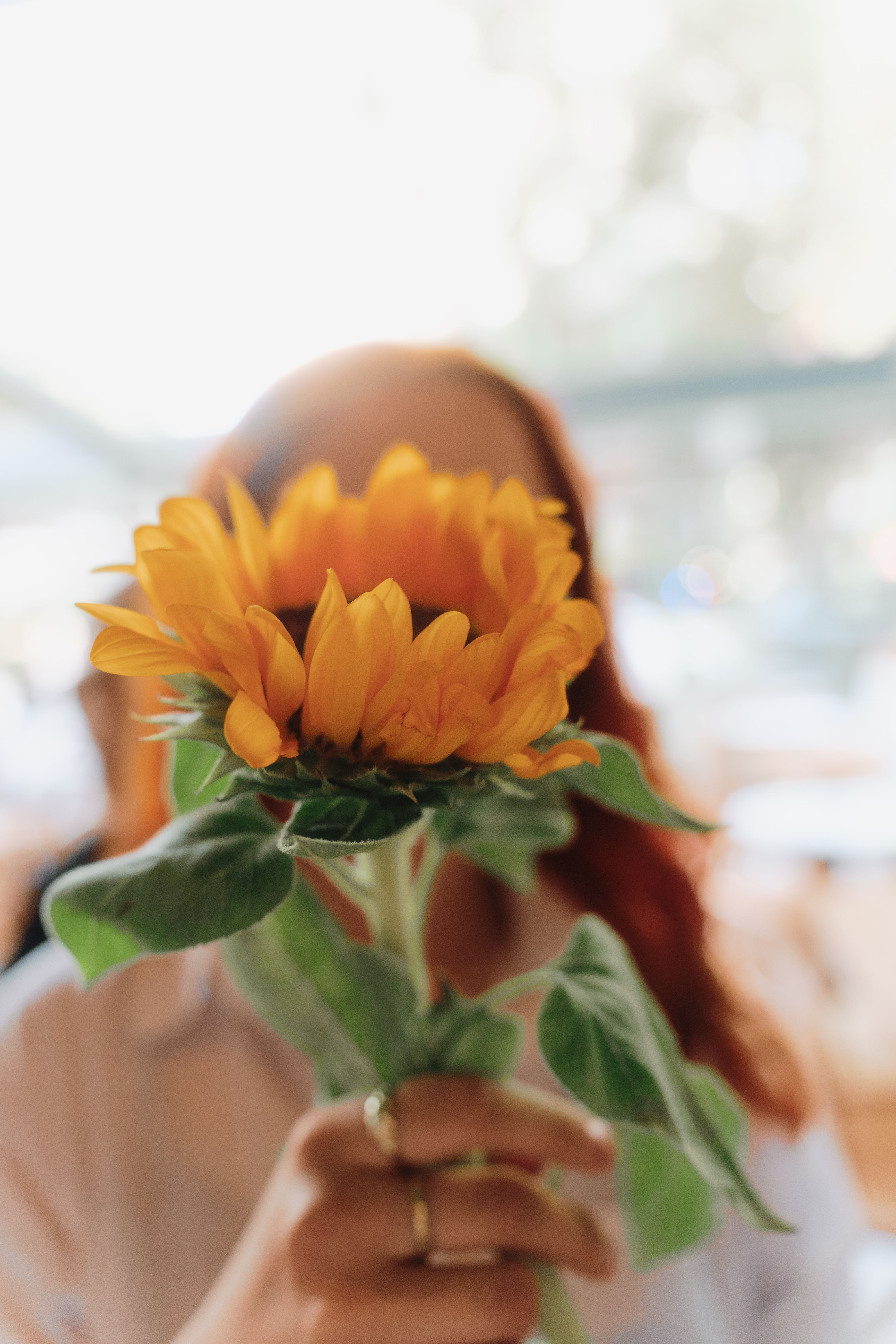 A woman holding a sunflower in her hand · Free Stock Photo