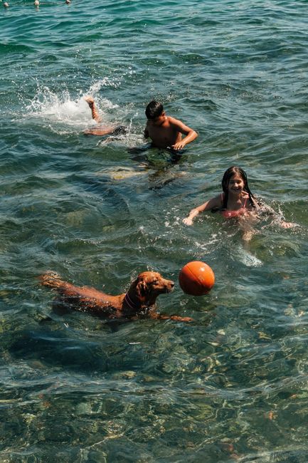 Kids and a dog enjoy a sunny day swimming and playing with a ball in Istanbul's sea.