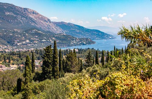 Free A breathtaking view of Corfu's coastline with lush greenery and clear blue waters, perfect for travel enthusiasts. Stock Photo