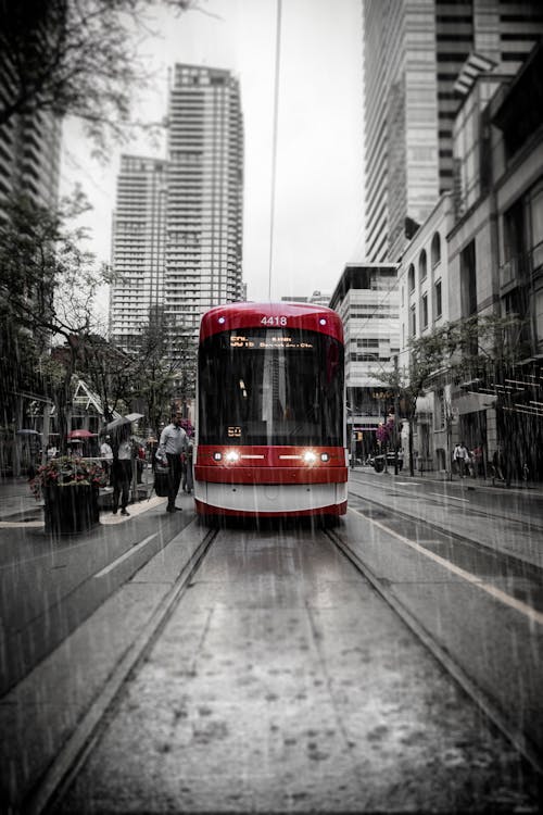 Free stock photo of city, city center, downtown toronto