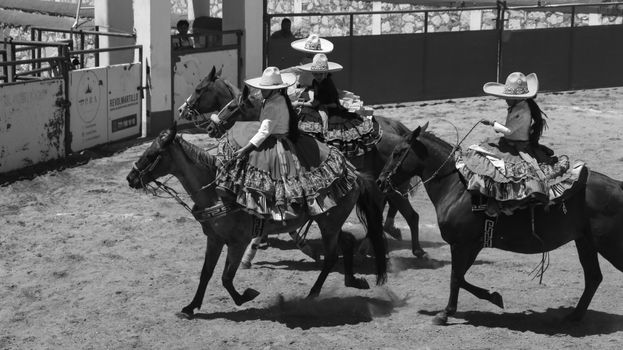 A black and white photo of a group of women riding horses