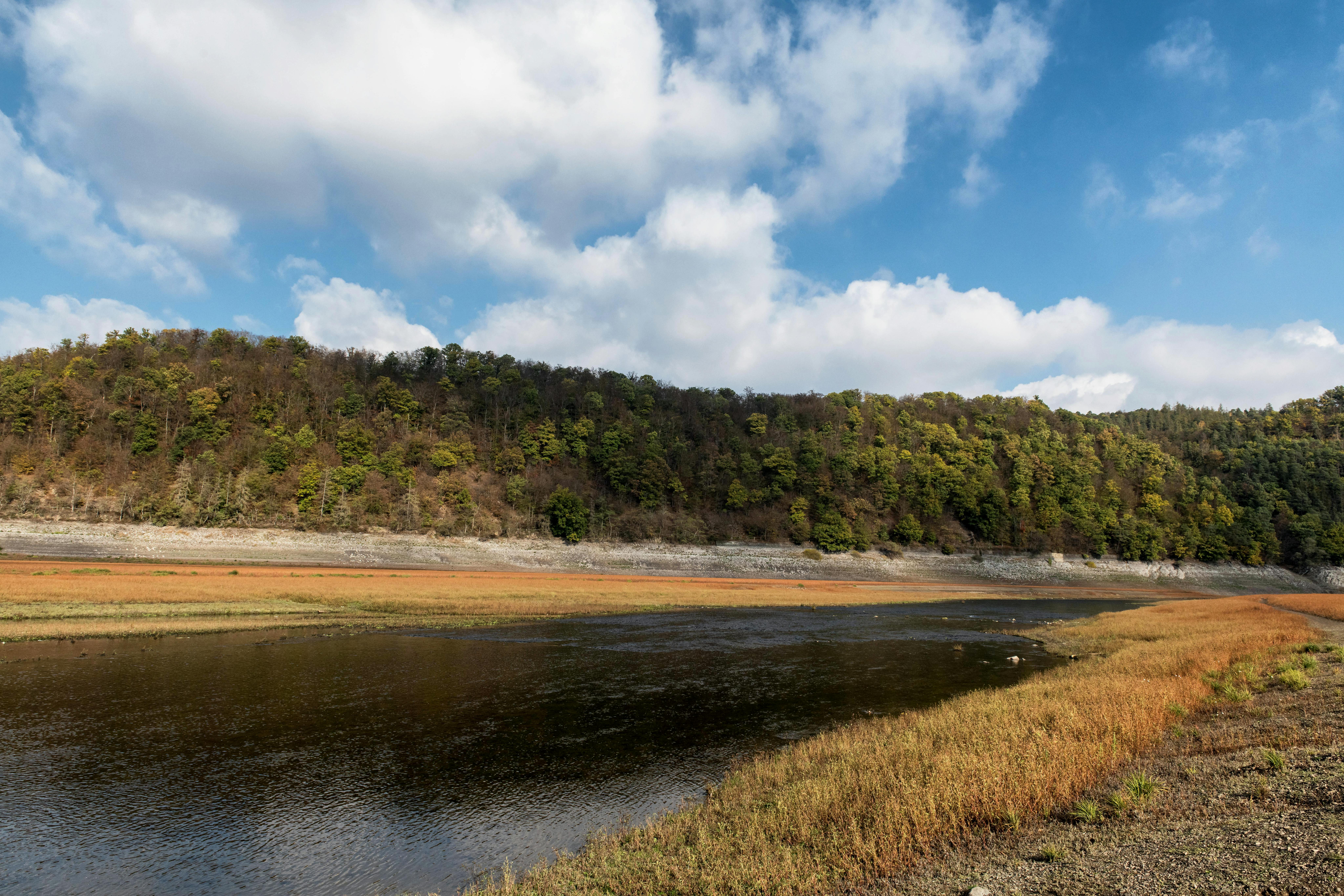 Gratis Immagine gratuita di acque calme, alberi, alberi autunnali Foto a disposizione