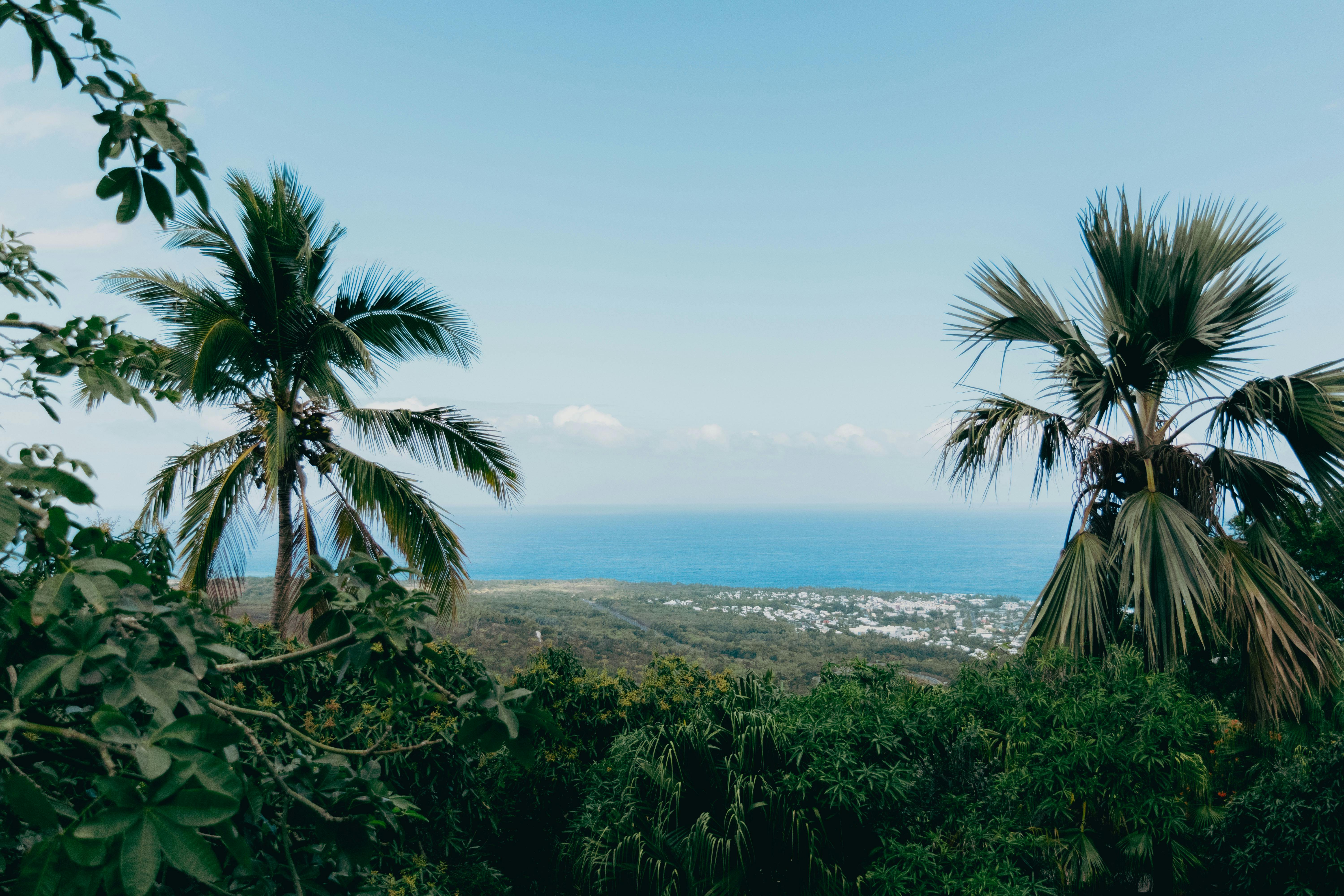 Coût de la vie à La Réunion en 2026