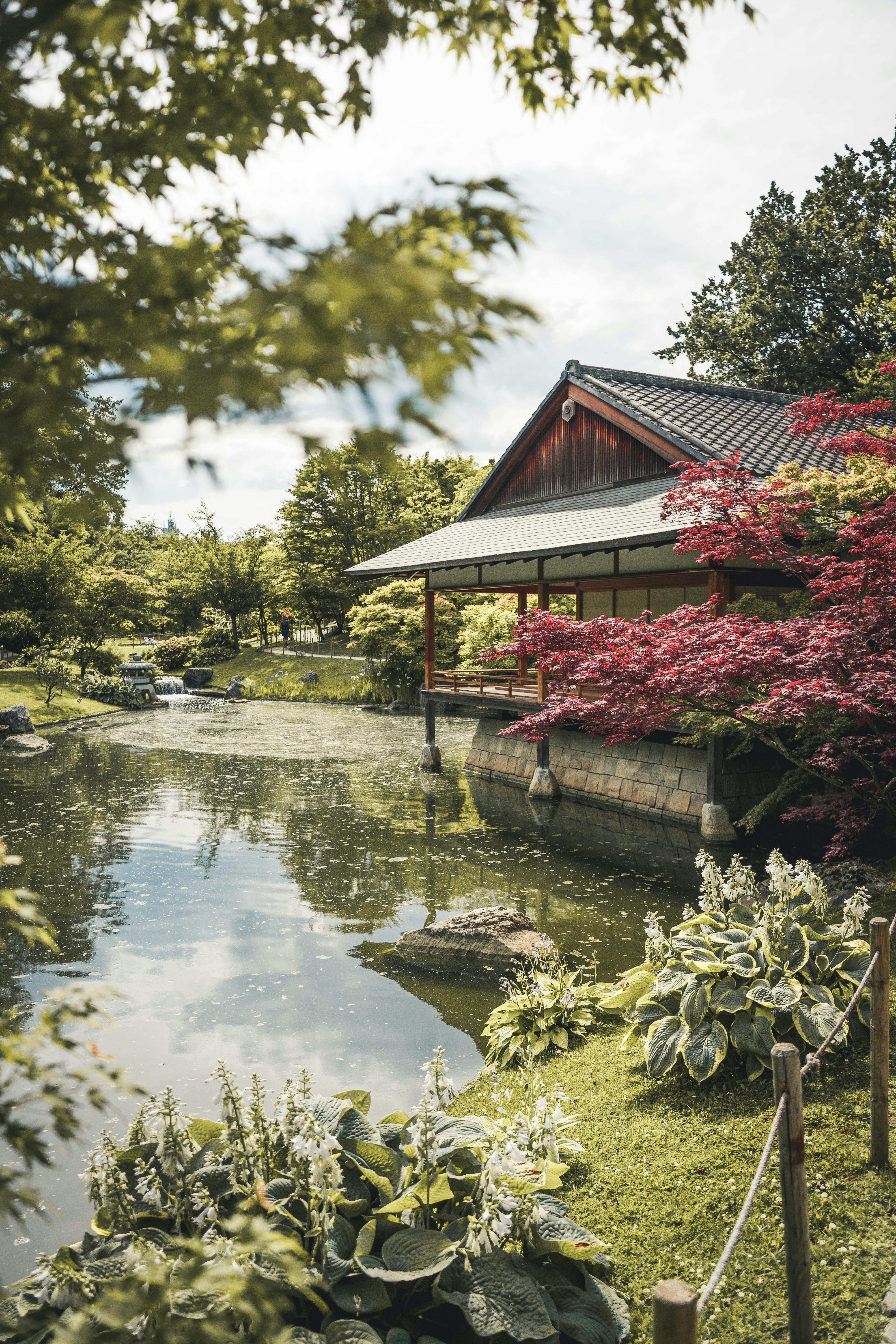 Foto Un jardín con rocas y plantas y un estanque – Imagen Naturaleza gratis  en Unsplash