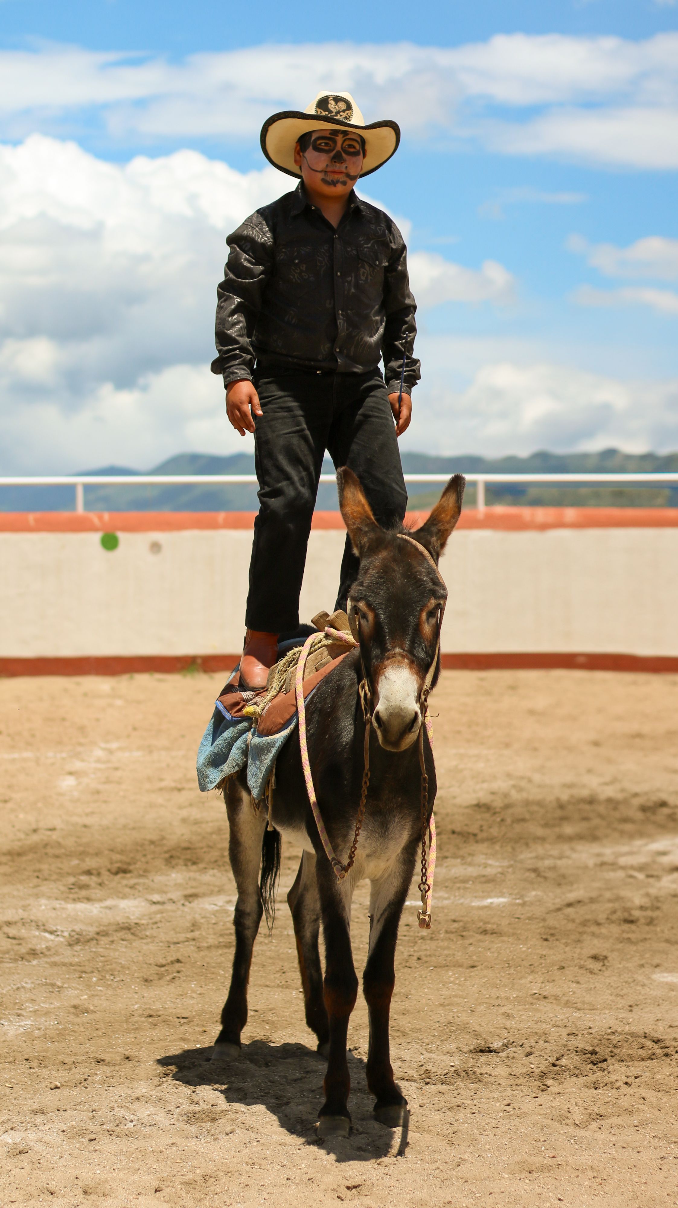 Young cowboy balancing on a donkey during a sunny outdoor rodeo event.