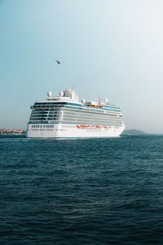 A large luxury cruise ship sails on the open sea under a clear sky with a seagull flying above.