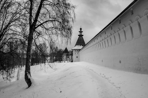 Fotografia W Skali Szarości Drzewa Na śniegu W Pobliżu Budynku