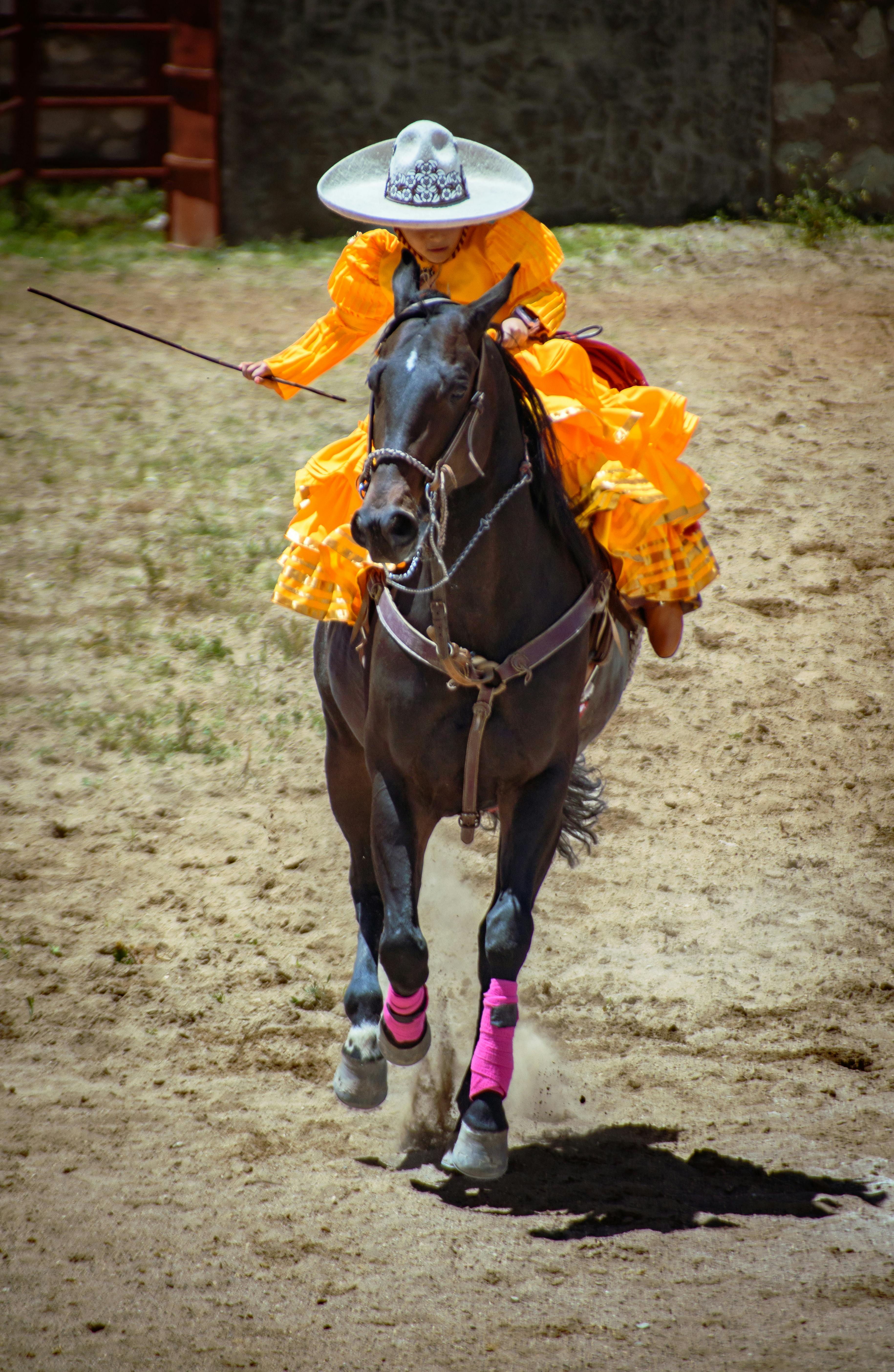 A colorful rodeo rider in traditional attire performs skillfully on horseback during an outdoor rodeo event.