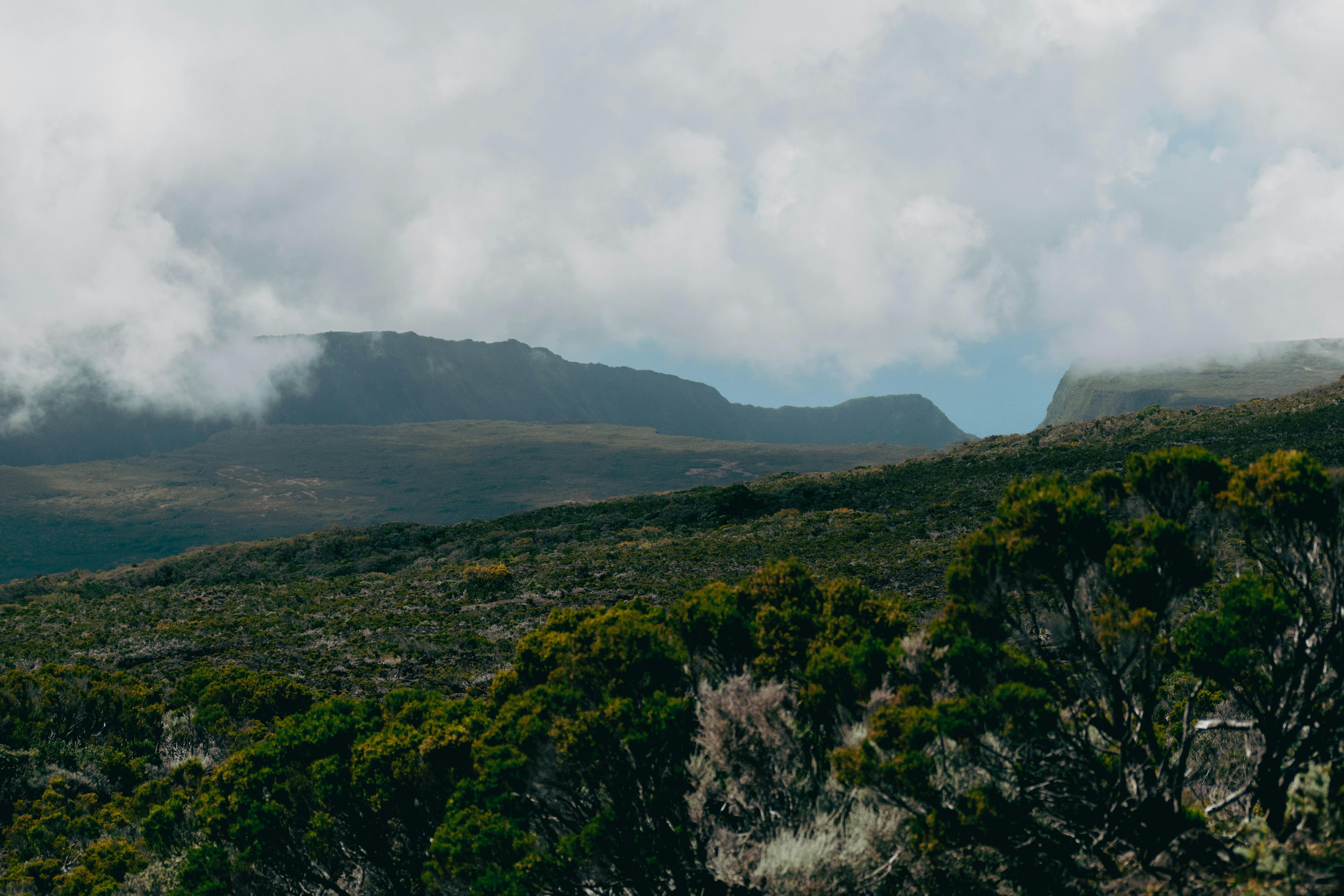 Habitat et logements à La Réunion vus depuis les hauteurs
