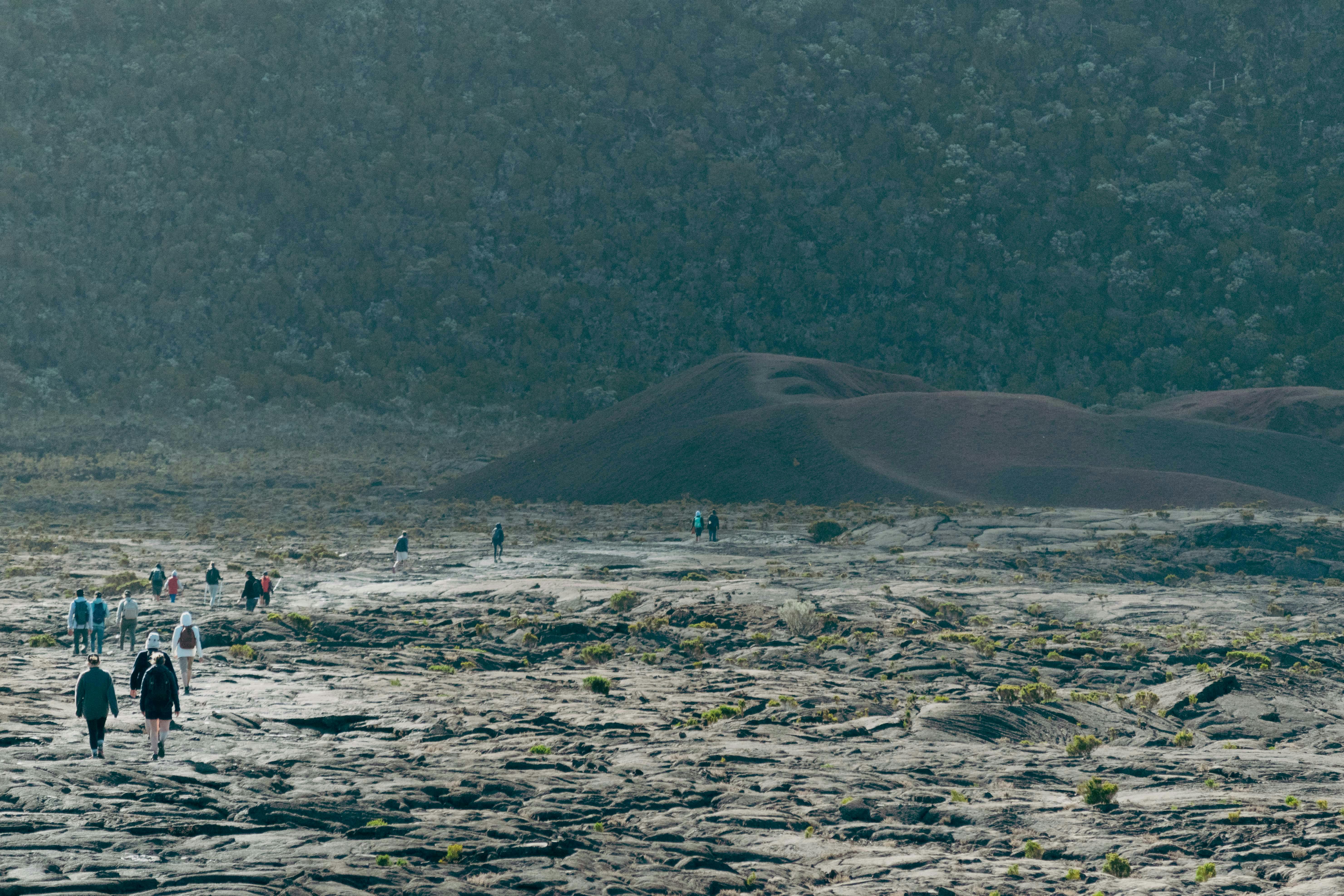 Morne Trois Pitons National Park, Dominica - travel photo