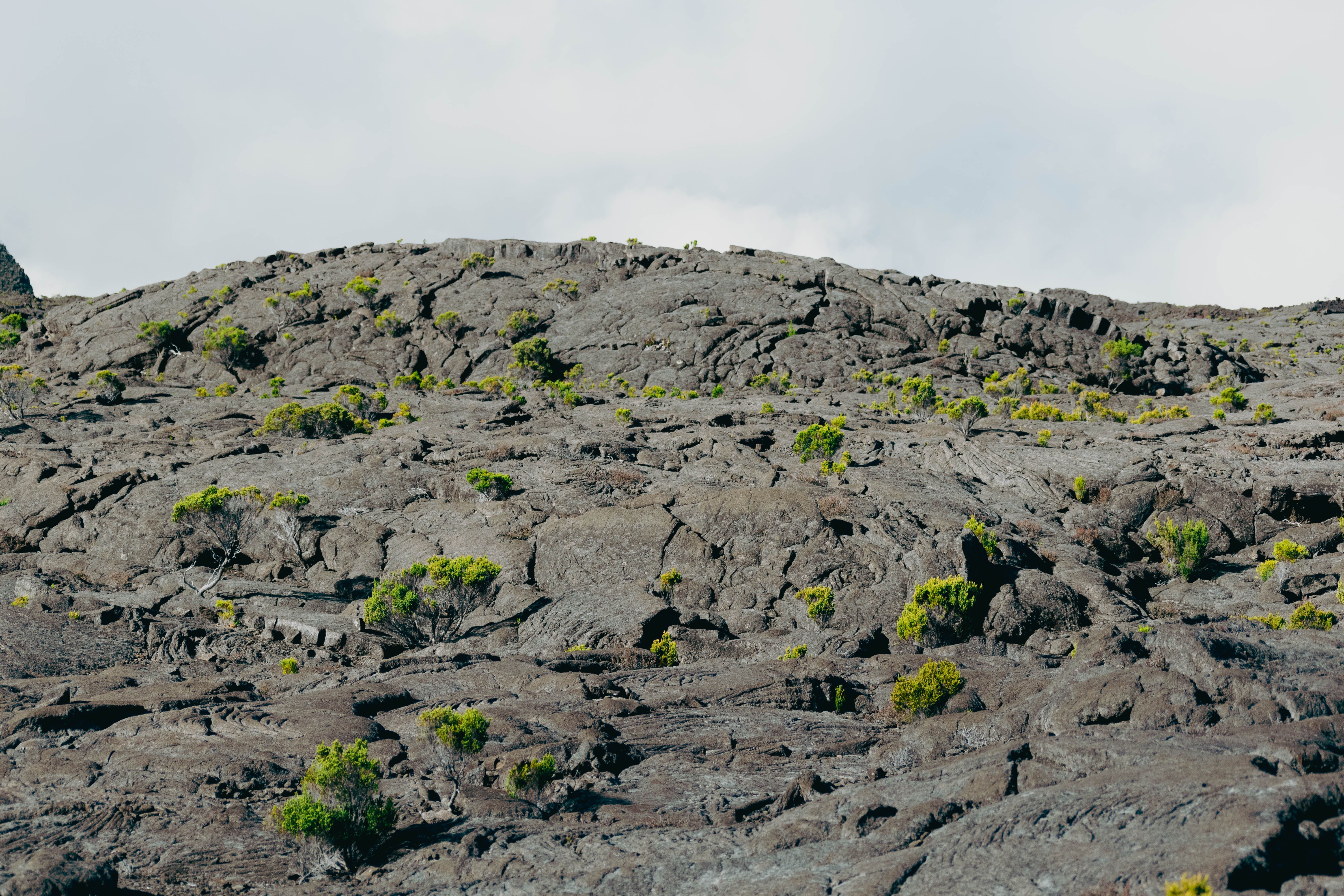 Senderista con el movil y una eSIM para la Isla de la Reunion ante el volcan Piton de la Fournaise