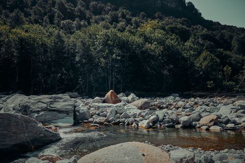 Free A tranquil scene of a river winding through rocky terrain in a dense Swiss forest. Stock Photo