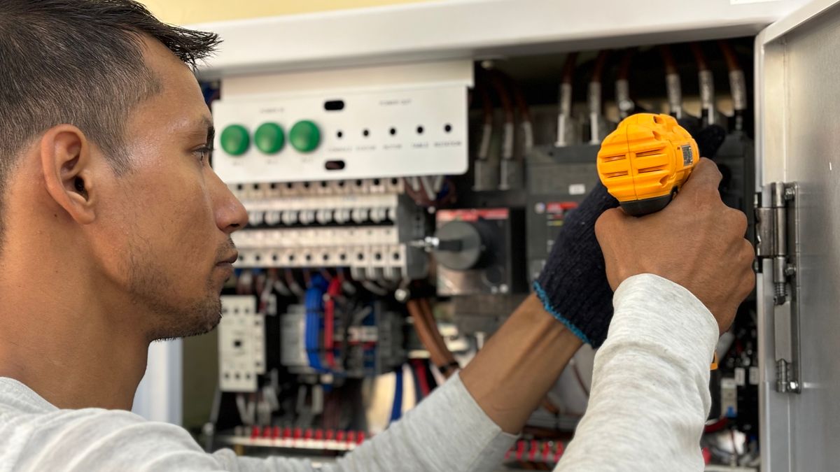 Examples of Sole Trader Businesses by Sector Examples of sole trader businesses: a self-employed electrician working on an electrical panel
