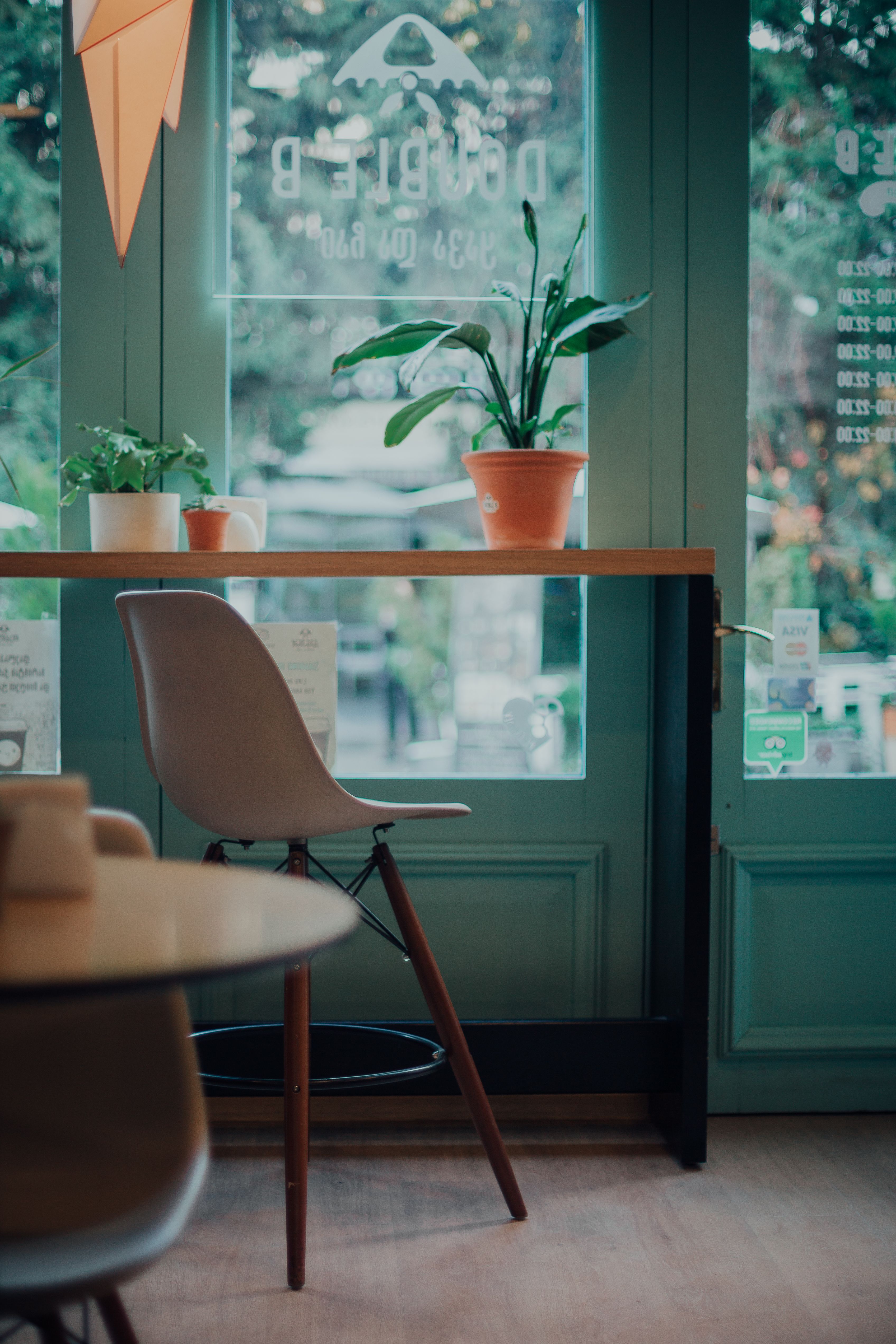 Potted Plants On A Table · Free Stock Photo