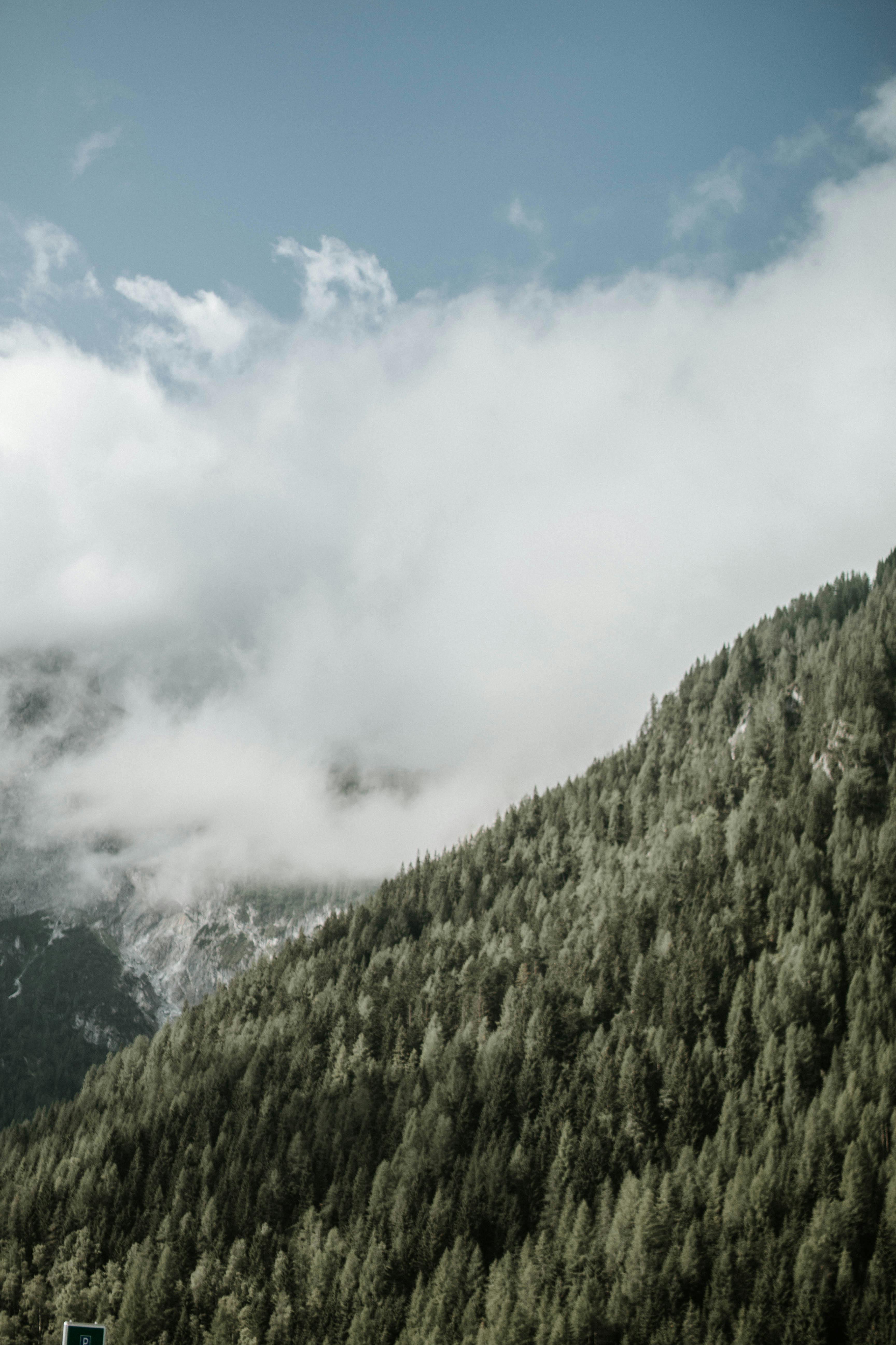 晴朗的天空下，云雾缭绕的山脉和森林令人惊叹