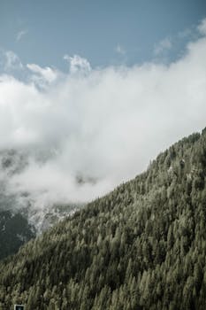 晴朗的天空下，云雾缭绕的山脉和森林令人惊叹