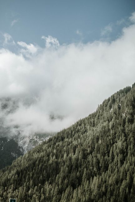 Breathtaking view of a misty mountain and forest under a clear sky.