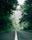 nature road