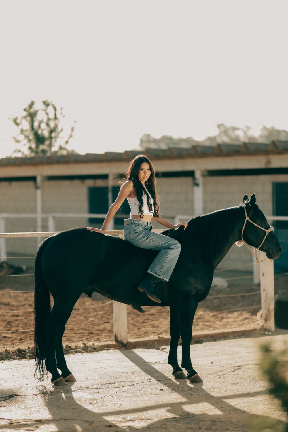 A woman is sitting on a horse in a stable · Free Stock Photo