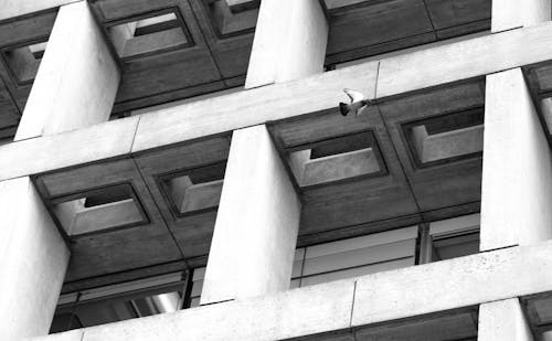 Grayscale Photography of Concrete Building
