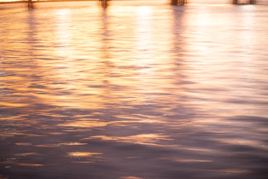Golden sunset light reflecting on tranquil water offers a serene and calming view.