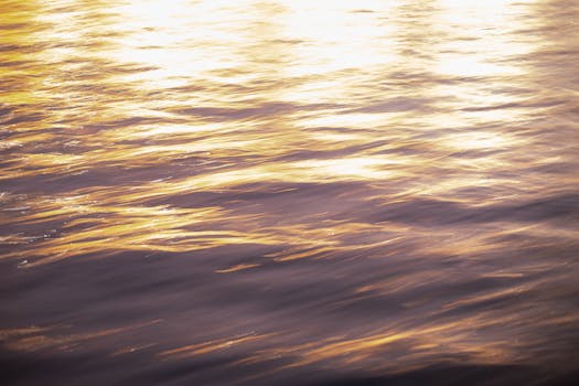 Serene golden reflections capture the tranquil beauty of a sunset on rippling water.