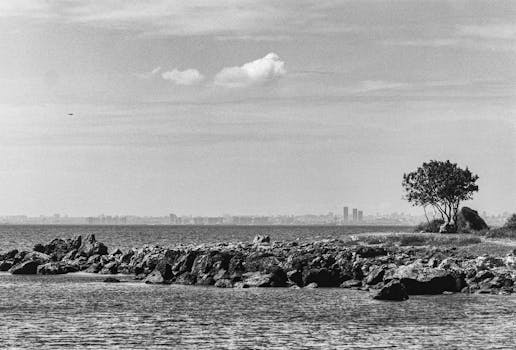 Black and white seascape view of İstanbul, Türkiye with distant skyline.