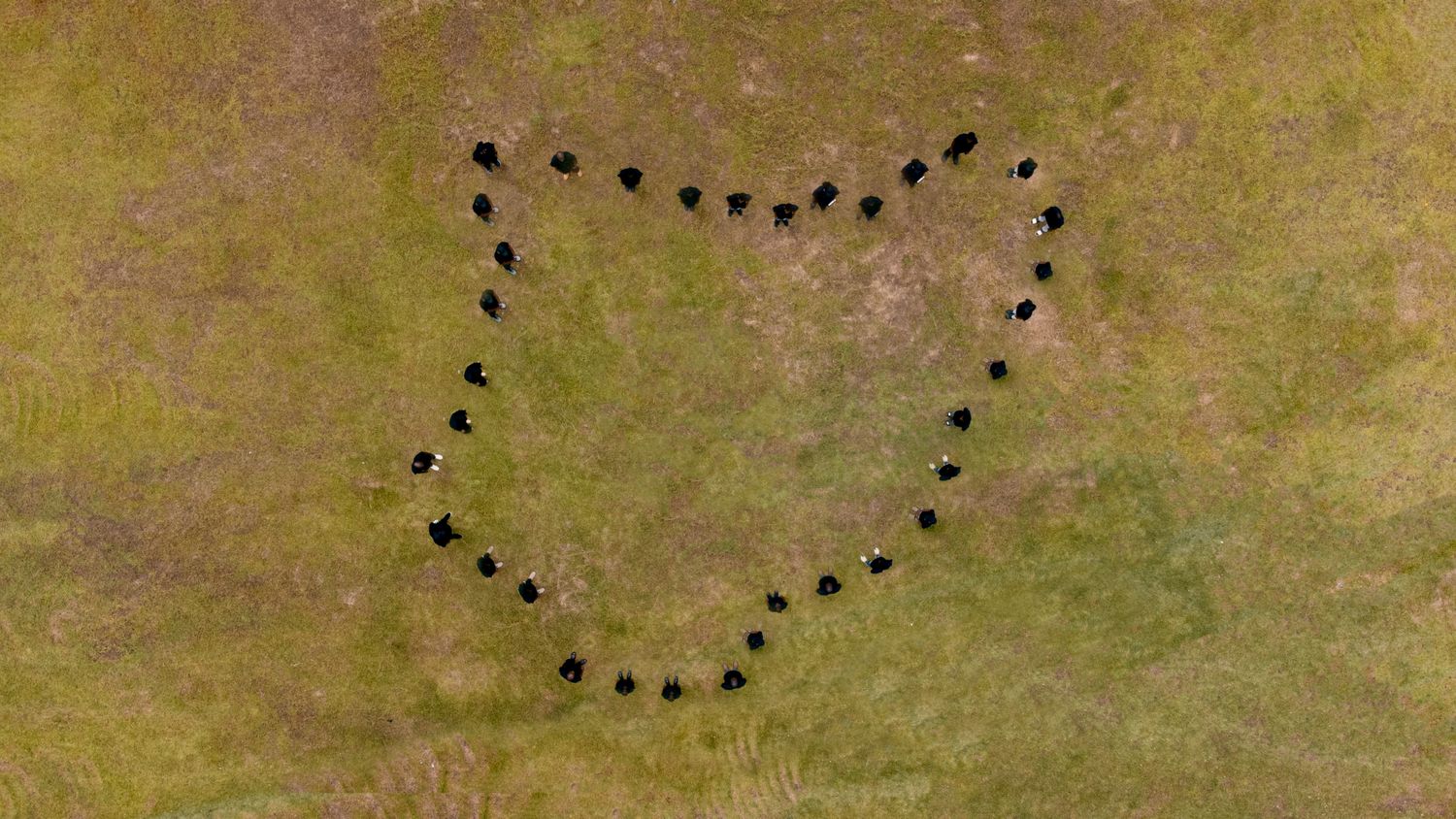 Human Formation Photos, Download The BEST Free Human Formation Stock ...