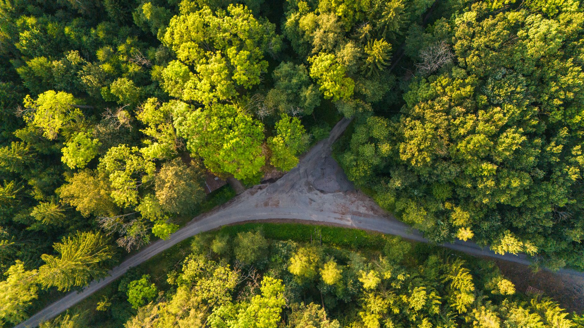 decision tree flowchart for developers