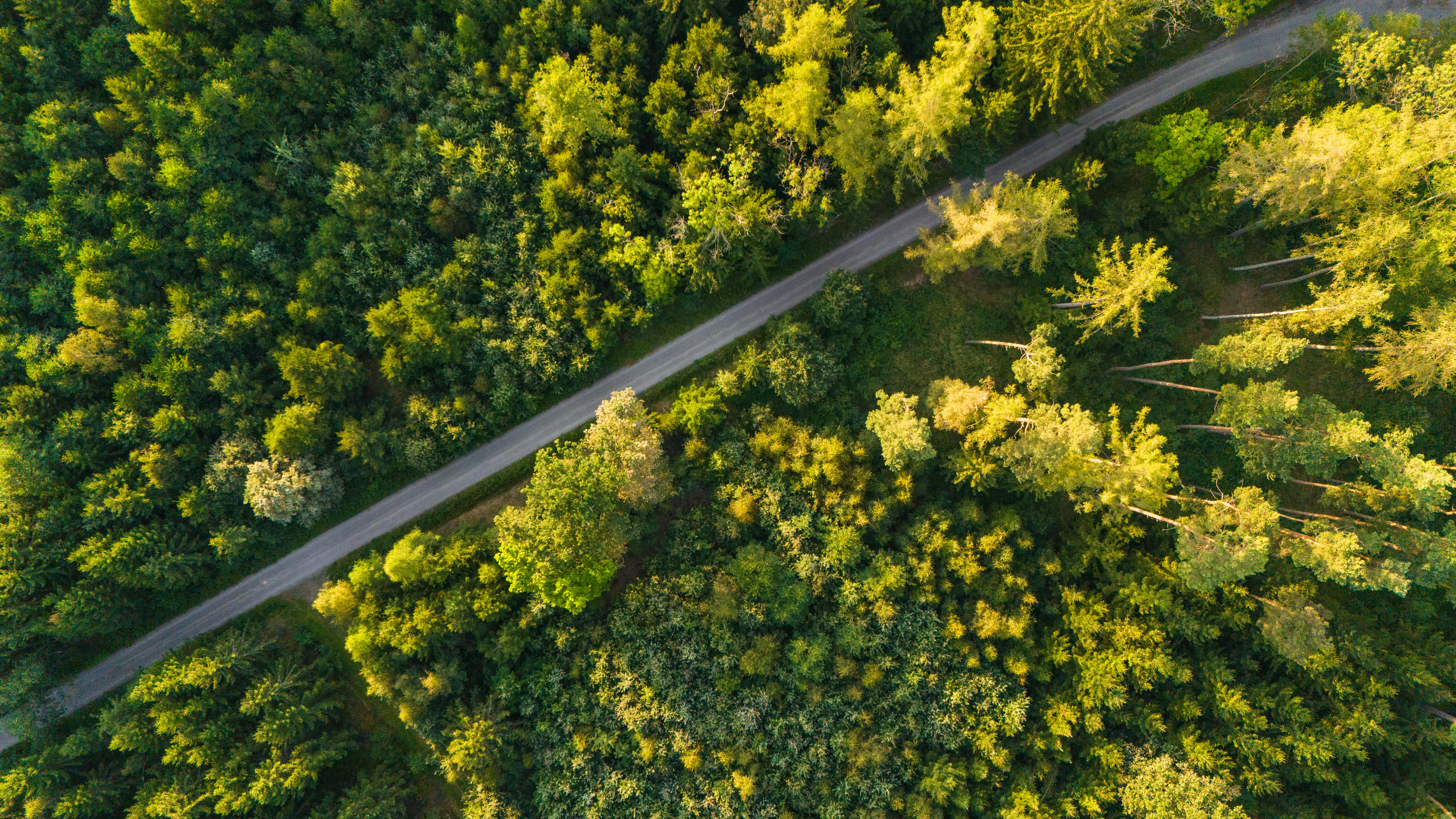 corporate governance esg — Photo by Stepan Vrany on Pexels
