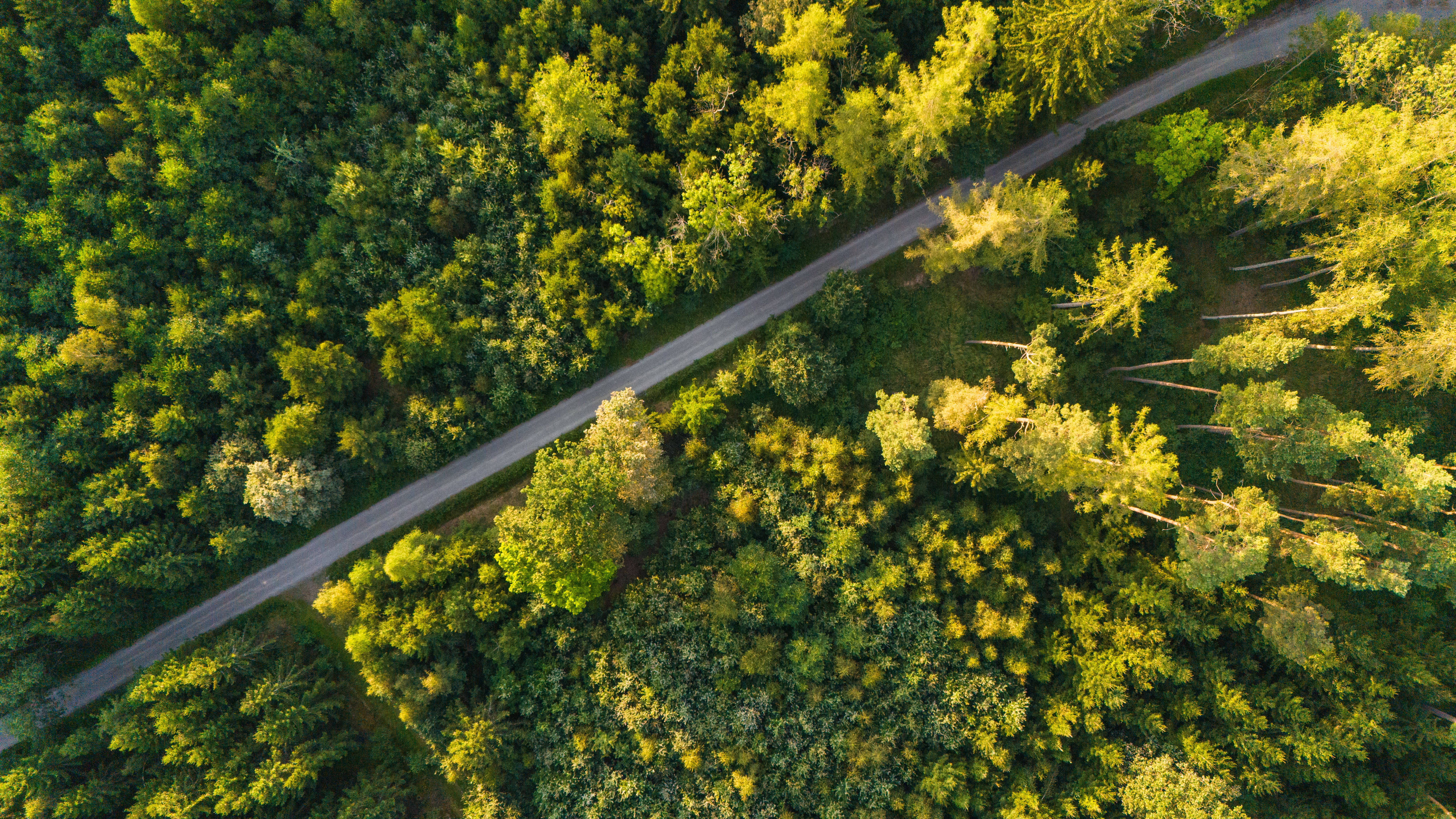 Aerial view of a road in the forest · Free Stock Photo