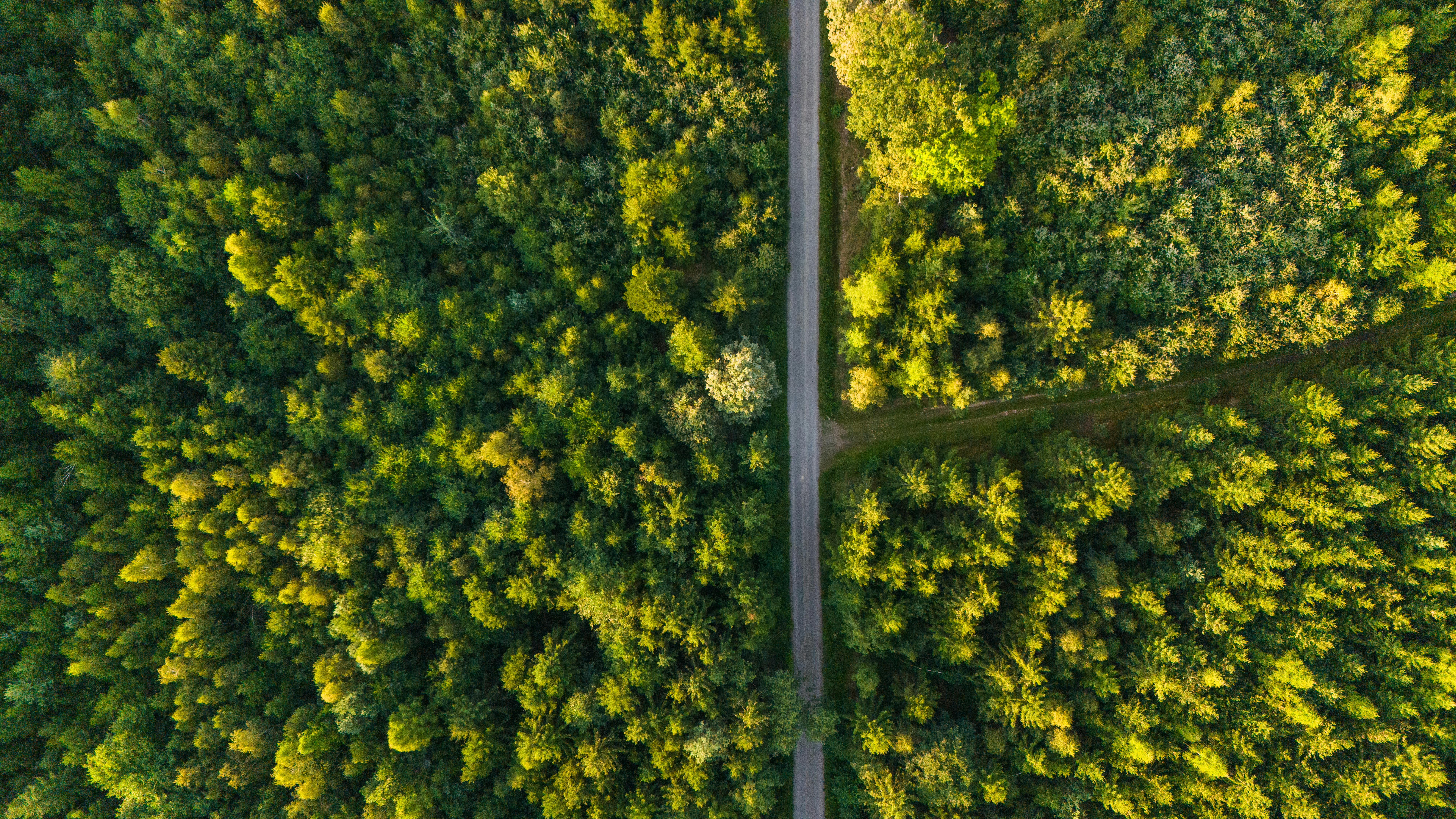 corporate governance esg — Photo by Stepan Vrany on Pexels