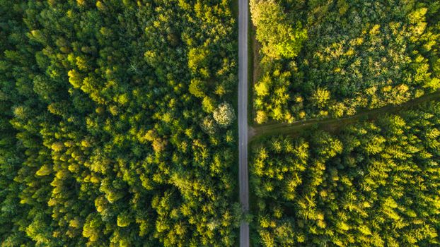 Drone view of a vibrant forest with a road cutting through in Chlístovice, Czechia.