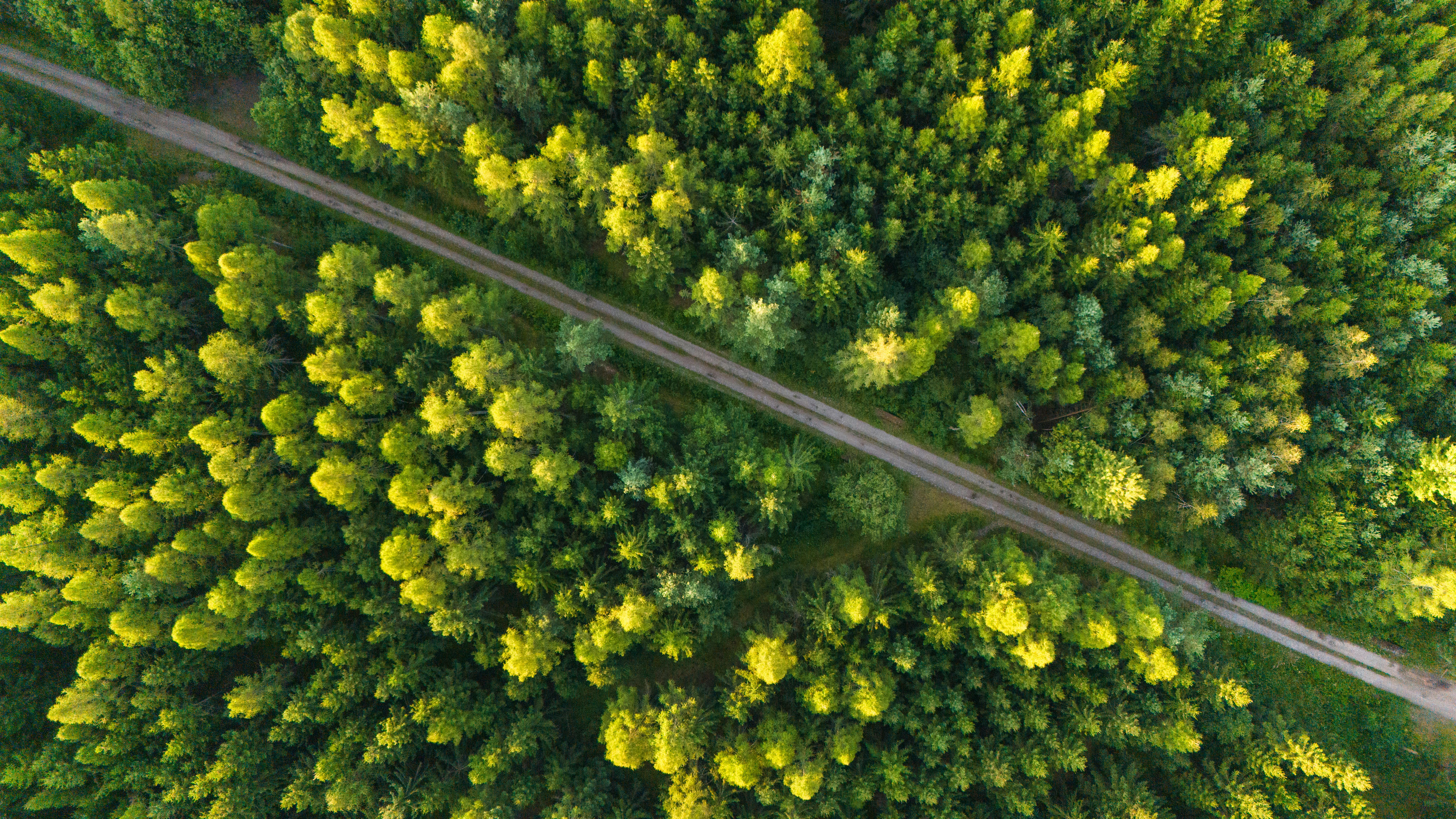 corporate governance esg good governance esg — Photo by Stepan Vrany on Pexels