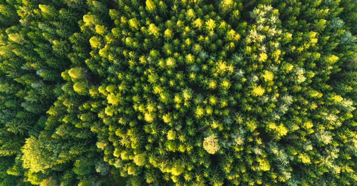 L'importance des innovations durables pour l'avenir de la planète