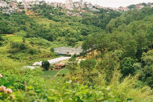 Free Peaceful countryside landscape with greenhouses and lush greenery ideal for agriculture. Stock Photo